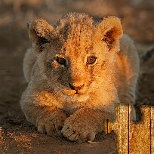 Baby Animal Jigsaw Puzzles - APK Download, MOD, Hack Tool, Cheats