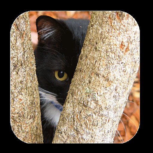 Find The Cat - APK Download, MOD, Hack Tool, Cheats