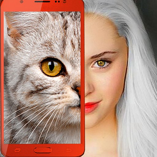 Kitten: what cat are you? joke - APK Download, MOD, Hack Tool, Cheats