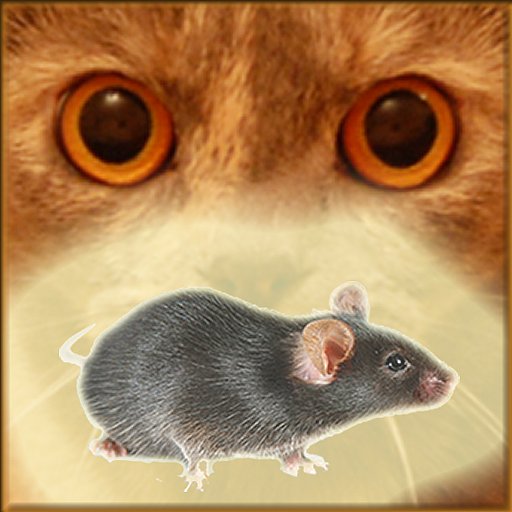 Mouse on the Screen for a Cat - APK Download, MOD, Hack Tool, Cheats