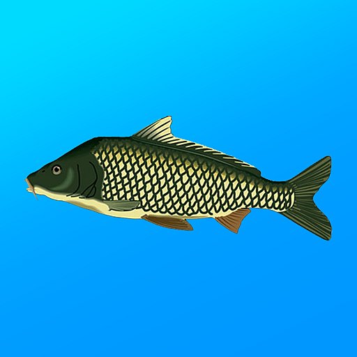 True Fishing. Simulator - APK Download, MOD, Hack Tool, Cheats