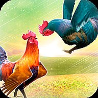 Wild Rooster Run - Frenzy Chicken Farm Race - APK Download, MOD, Hack Tool, Cheats